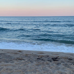 Meet your Posher, Annie